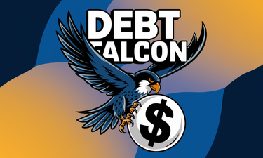 DebtFalcon.com - Creative brandable domain for sale
